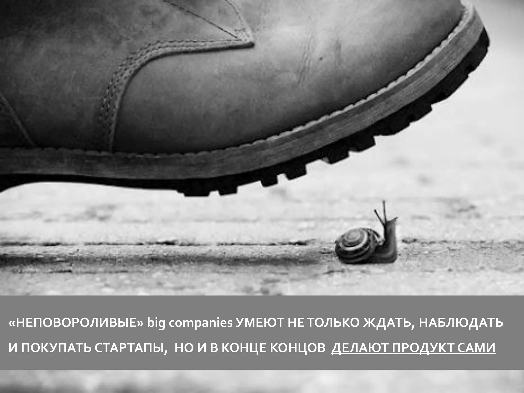 «НЕПОВОРОЛИВЫЕ» big companies УМЕЮТ НЕ ТОЛЬКО ЖДАТЬ, НАБЛЮДАТЬ
И ПОКУПАТЬ СТАРТАПЫ, НО И В КОНЦЕ КОНЦОВ ДЕЛАЮТ ПРОДУКТ САМИ
 