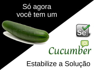 Só agora
você tem um




  Estabilize a Solução
 