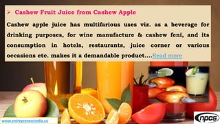 www.entrepreneurindia.co
 Cashew Fruit Juice from Cashew Apple
Cashew apple juice has multifarious uses viz. as a beverag...