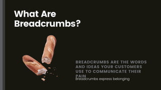 What Are
Breadcrumbs?
BREADCRUMBS ARE THE WORDS
AND IDEAS YOUR CUSTOMERS
USE TO COMMUNICATE THEIR
PAIN
Breadcrumbs express...