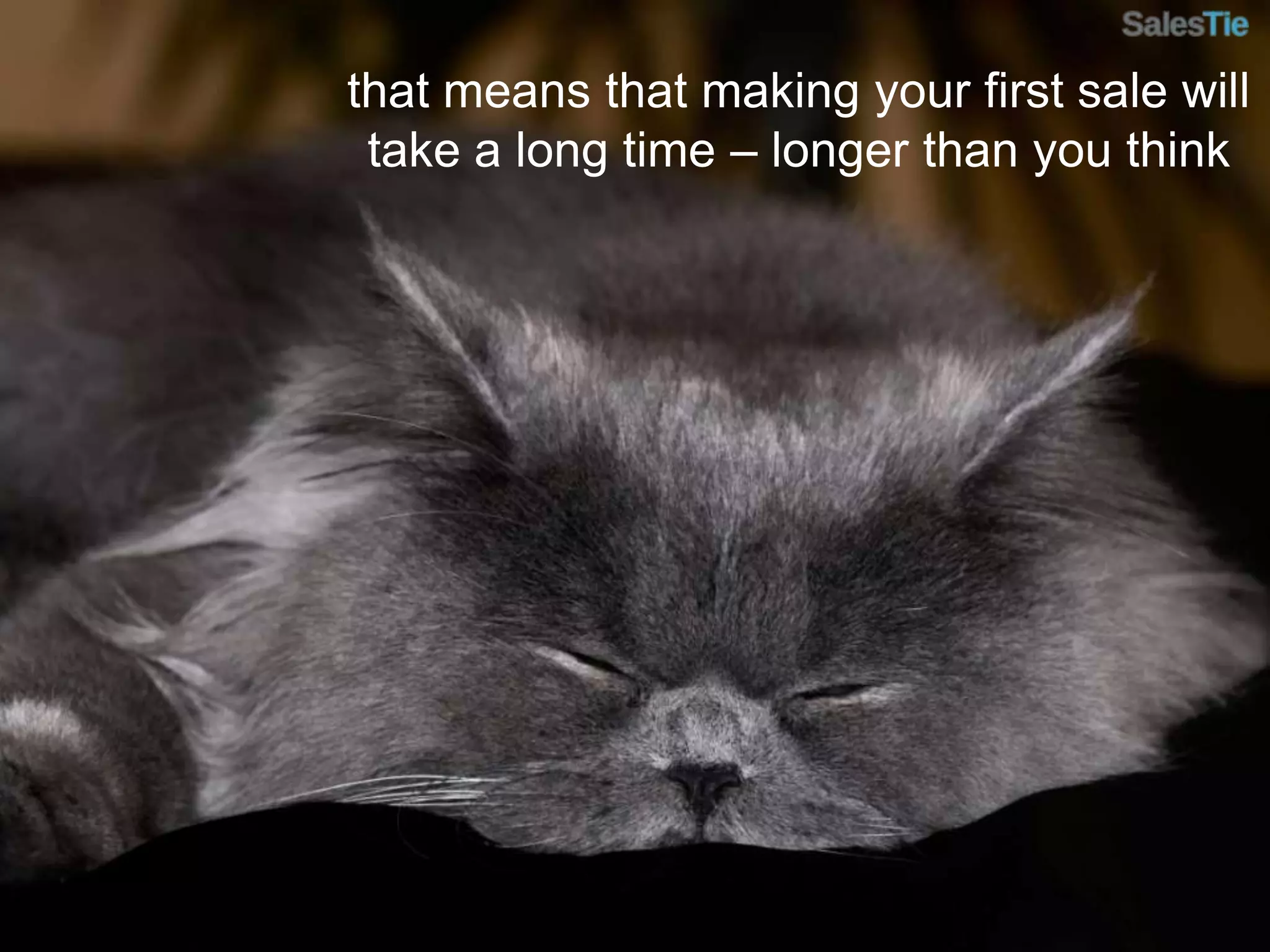 that means that making your first sale will take a long time – longer than you think