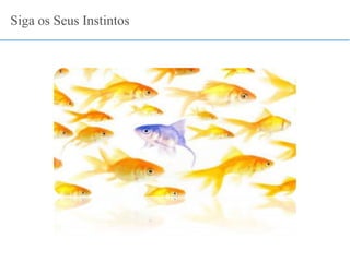 Siga os Seus Instintos
 