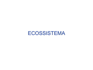 ECOSSISTEMA
 
