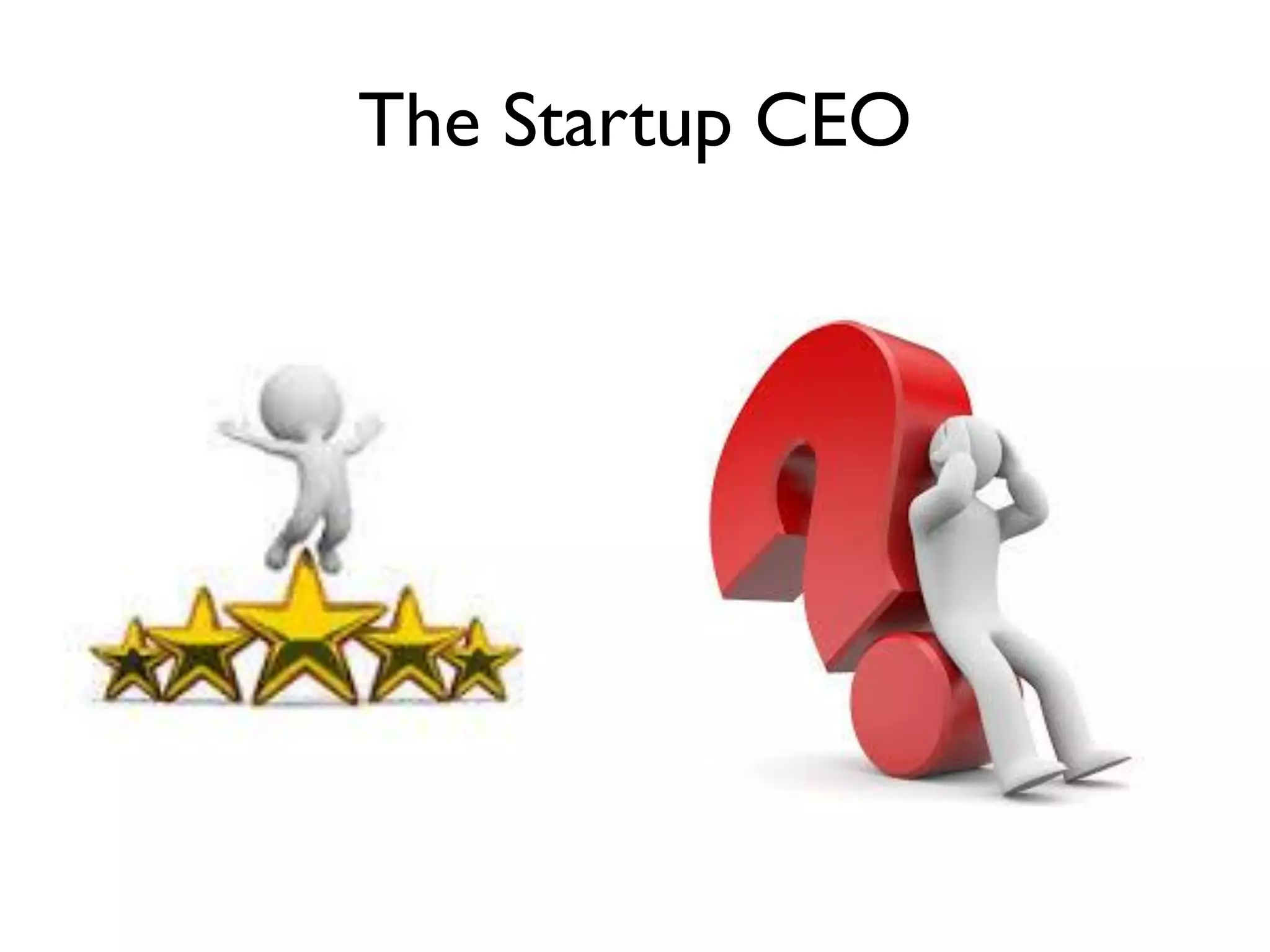 The Startup CEO
 