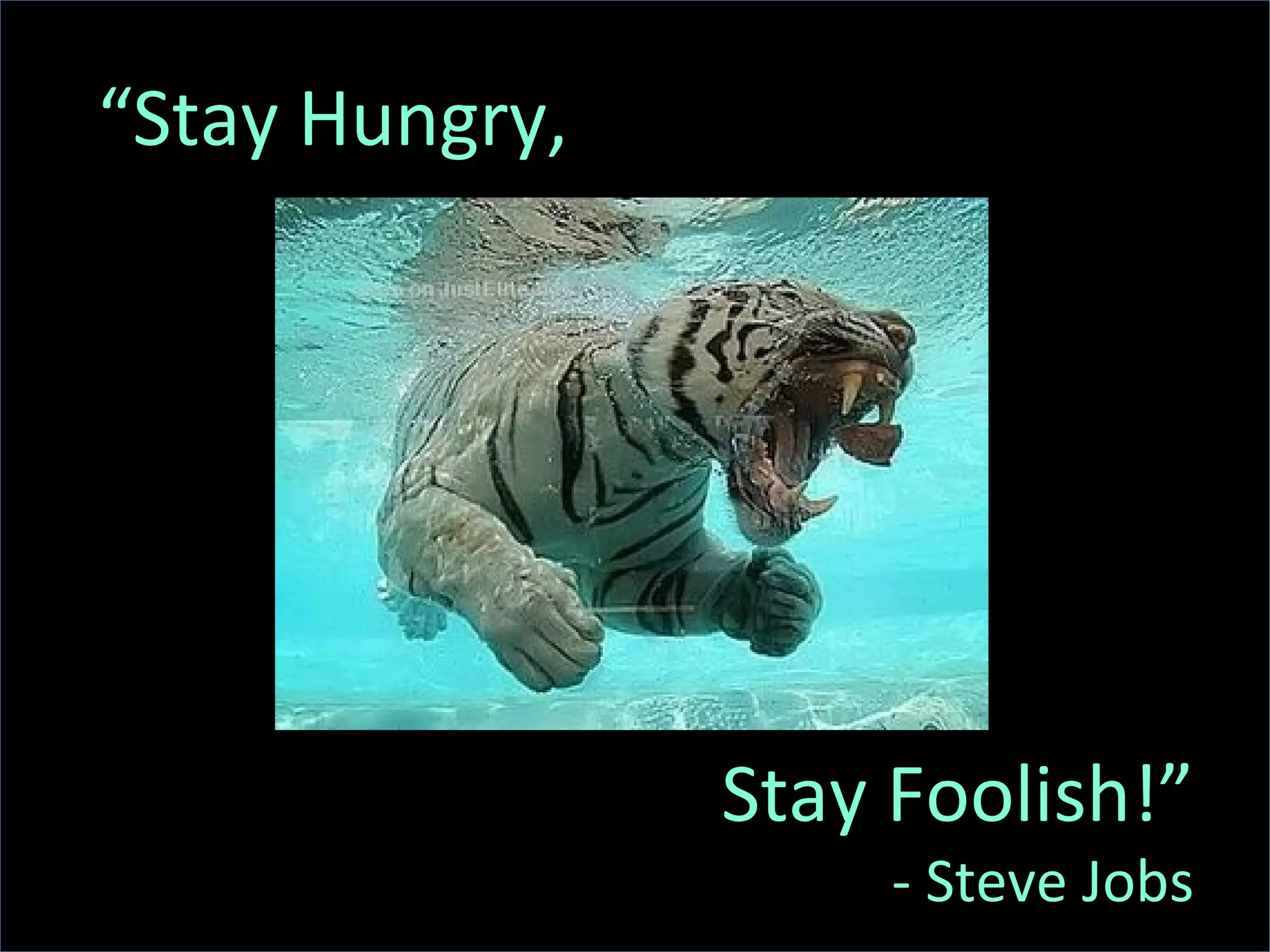 “ Stay Hungry, Stay Foolish!” - Steve Jobs 