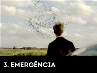 3. EMERGÊNCIA 
 