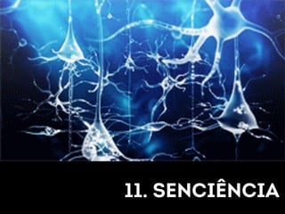 11. senciência 
 