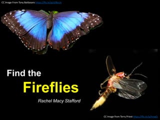 CC Image From Tony Baldasaro https://flic.kr/p/cDBuUs
CC Image from Terry Priest https://flic.kr/p/hrxqQ
Find the
Fireflies
Rachel Macy Stafford
 
