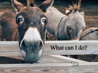 What can I do?
 