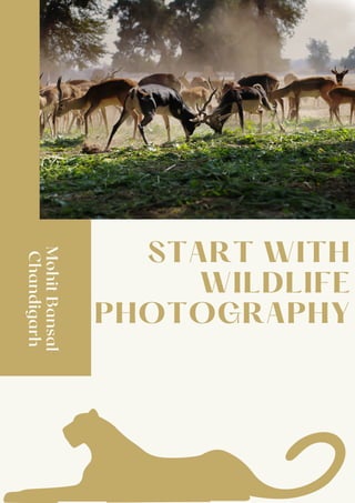 START WITH
WILDLIFE
PHOTOGRAPHY


Mohit
Bansal
Chandigarh
 