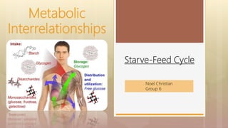 Starve-Feed Cycle
Metabolic
Interrelationships
Noel Christian
Group 6
 