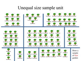 Unequal size sample unit
Draw a
sample
of four
garden
 