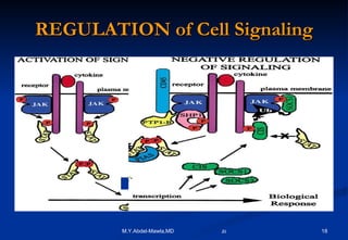 REGULATION of Cell Signaling 