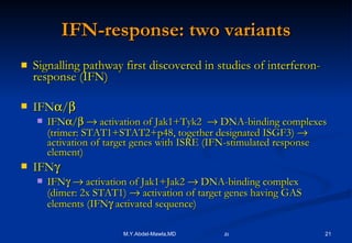 IFN-response: two variants Signalling pathway first discovered in studies of interferon-response (IFN) IFN  /  IFN  /      activation of Jak1+Tyk2    DNA-binding complexes (trimer: STAT1+STAT2+p48, together designated ISGF3)    activation of target genes with ISRE (IFN-stimulated response element) IFN  IFN      activation of Jak1+Jak2    DNA-binding complex (dimer: 2x STAT1)    activation of target genes having GAS elements (IFN   activated sequence) 