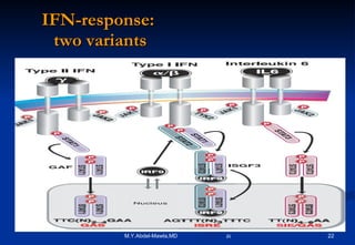 IFN-response:  two variants 