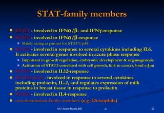 STAT-family members STAT1  -  involved in IFN  /  - and IFN  -response STAT2   -  involved in IFN  /  -response Mainly acting as partner for STAT1/p48 STAT3   -  involved in response to several cytokines including IL6. It activates several genes involved in acute phase response Important in growth regulation, embryonic development & organogenesis Activation of STAT3 correlated with cell growth, link to cancer, bind c-Jun STAT4   -  involved in IL12-response STAT5a & 5b   -  involved in response to several cytokines   including prolactin, IL-2, and regulates expression of milk proteins in breast tissue in response to prolactin STAT6  -  involved in IL4-response non-mammalian family members  (e.g. Drosophila ) 