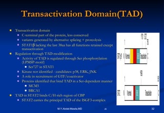 Transactivation Domain(TAD) Transactivation domain C-terminal part of the protein, less conserved variants generated by alternative splicing + proteolysis STAT1   lacking the last 38aa has all functions retained except transactivation Regulation through TAD-modification Activity of TAD is regulated through Ser phosphorylation (LPMSP-motif) Ser727 in STAT1 Kinase not identified - candidates: p38, ERK, JNK A role in recruitment of GTF/coactivator Proteins identified that bind TAD in a Ser-dependent manner MCM5 BRCA1 TAD in STAT2 binds C/H-rich region of CBP STAT2 carries the principal TAD of the ISGF3-complex 