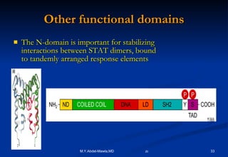 Other functional domains The N-domain is important for stabilizing interactions between STAT dimers, bound to tandemly arranged response elements 