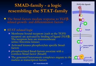 SMAD-family - a logic resembling the STAT-family The Smad-factors mediate response to TGF  -related growth- and differentiation factors STAT-related logic Membrane-bound receptors (such as the TGFß-receptor) are activated by binding of ligand (TGF  ). The receptors here are transmembrane serine/threonine-kinases Activated kinases phosphorylate specific Smad-factors phosphorylated Smad-factors associate with a common Smad-factor (Smad4) The generated heteromeric complexes migrate to the nucleus as transcription factors 
