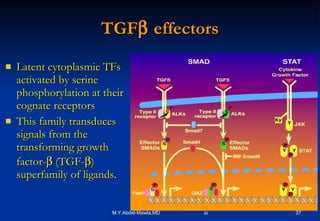 TGF   effectors Latent cytoplasmic TFs activated by serine phosphorylation at their cognate receptors This family transduces signals from the transforming growth factor-   (TGF-  ) superfamily of ligands . 