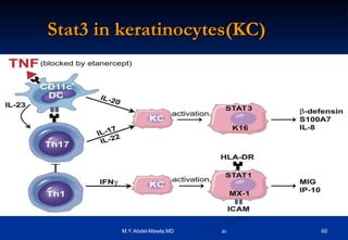 Stat3 in keratinocytes(KC) 