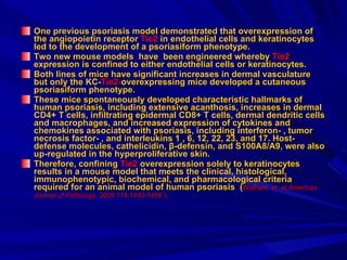 One previous psoriasis model demonstrated that overexpression of the angiopoietin receptor  Tie2  in endothelial cells and keratinocytes led to the development of a psoriasiform phenotype.   Two new mouse models  have  been engineered whereby  Tie2  expression is confined to either endothelial cells or keratinocytes.  Both lines of mice have significant increases in dermal vasculature but only the KC- Tie2- overexpressing mice developed a cutaneous psoriasiform phenotype.  These mice spontaneously developed characteristic hallmarks of human psoriasis, including extensive acanthosis, increases in dermal CD4+ T cells, infiltrating epidermal CD8+ T cells, dermal dendritic cells and macrophages, and increased expression of cytokines and chemokines associated with psoriasis, including interferon- , tumor necrosis factor- , and interleukins 1 , 6, 12, 22, 23, and 17. Host-defense molecules, cathelicidin, β-defensin, and S100A8/A9, were also up-regulated in the hyperproliferative skin.  Therefore, confining  Tie2  overexpression solely to keratinocytes results in a mouse model that meets the clinical, histological, immunophenotypic, biochemical, and pharmacological criteria required for an animal model of human psoriasis  ( Wolfram  et  al, American Journal of Pathology.  2009 174:1443-1458 ) .  
