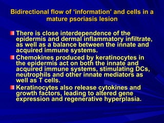 Bidirectional flow of ‘information’ and cells in a mature psoriasis lesion There is close interdependence of the epidermis and dermal inflammatory infiltrate, as well as a balance between the innate and acquired immune systems.  Chemokines produced by keratinocytes in the epidermis act on both the innate and acquired immune systems, stimulating DCs, neutrophils and other innate mediators as well as T cells.  Keratinocytes also release cytokines and growth factors, leading to altered gene expression and regenerative hyperplasia. 