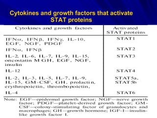 Cytokines and growth factors that activate STAT proteins 