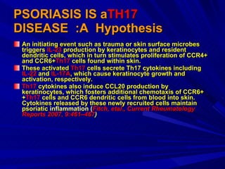PSORIASIS IS a TH17  DISEASE  :A  Hypothesis An initiating event such as trauma or skin surface microbes triggers  IL-23  production by keratinocytes and resident dendritic cells, which in turn stimulates proliferation of CCR4+ and CCR6+ Th17  cells found within skin.  These activated  Th17  cells secrete Th17 cytokines including  IL-22  and  IL-17A , which cause keratinocyte growth and activation, respectively.  Th17  cytokines also induce CCL20 production by keratinocytes, which fosters additional chemotaxis of CCR6++ Th17  cells and CCR6 dendritic cells from blood into skin. Cytokines released by these newly recruited cells maintain psoriatic  inflammation ( Fitch, etal., Current Rheumatology Reports 2007, 9:461–467 ) 