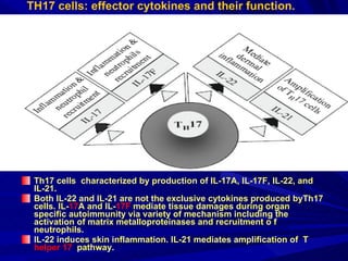 TH17 cells: effector cytokines and their function. Th17 cells  characterized by production of IL-17A, IL-17F, IL-22, and IL-21. Both IL-22 and IL-21 are not the exclusive cytokines produced byTh17 cells. IL- 17 A and IL- 17F  mediate tissue damages during organ  specific autoimmunity via variety of mechanism including the activation of matrix metalloproteinases and recruitment o f neutrophils. IL-22 induces skin inflammation. IL-21 mediates amplification of  T  helper 17   pathway. 