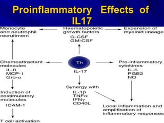Proinflammatory  Effects  of  IL17 