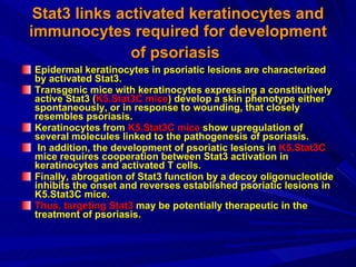 Stat3 links activated keratinocytes and immunocytes required for development of psoriasis   Epidermal keratinocytes in psoriatic lesions are characterized by activated Stat3.  Transgenic mice with keratinocytes expressing a constitutively active Stat3 ( K5.Stat3C mice ) develop a skin phenotype either spontaneously, or in response to wounding, that closely resembles psoriasis. Keratinocytes from  K5.Stat3C mice  show upregulation of several molecules linked to the pathogenesis of psoriasis. In addition, the development of psoriatic lesions in  K5.Stat3C  mice requires cooperation between Stat3 activation in keratinocytes and activated T cells.  Finally, abrogation of Stat3 function by a decoy oligonucleotide inhibits the onset and reverses established psoriatic lesions in K5.Stat3C mice.  Thus, targeting Stat3  may be potentially therapeutic in the treatment of psoriasis. 