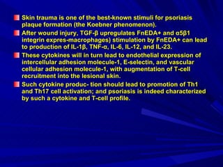 Skin trauma is one of the best-known stimuli for psoriasis plaque formation (the Koebner phenomenon).  After wound injury, TGF-β upregulates FnEDA+ and α5β1 integrin expres-macrophages) stimulation by FnEDA+ can lead to production of IL-1β, TNF-α, IL-6, IL-12, and IL-23. These cytokines will in turn lead to endothelial expression of intercellular adhesion molecule-1, E-selectin, and vascular cellular adhesion molecule-1, with augmentation of T-cell recruitment into the lesional skin. Such cytokine produc- tion should lead to promotion of Th1 and Th17 cell activation; and psoriasis is indeed characterized by such a cytokine and T-cell profile. 