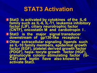STAT3 Activation Stat3  is activated by cytokines  of the  IL-6 family such as IL-6, IL-11, leukemia inhibitory factor (LIF), ciliary neurotrophic factor (CNTF), oncostatin M  and  cardiotropin  I . Stat3  is  the  major  signal transducer  downstream  of  gp130-like  receptors  . Other  extracellular signaling  ligands  such  as IL-10 family members, epidermal growth  factor (EGF), platelet derived growth factor (PDGF), hepa- tocyte growth  factor (HGF),  granulocyte  colony- stimulating  factor  (G-CSF) and  leptin  have  also known to activate Stat3.  