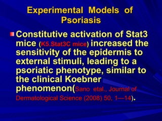 Experimental  Models  of  Psoriasis Constitutive activation of Stat3 mice  ( K5.Stat3C mice )  increased the sensitivity of the epidermis to external stimuli, leading to a psoriatic phenotype, similar to the clinical Koebner phenomenon( Sano   etal., Journal of Dermatological Science (2008) 50, 1—14 ) . 