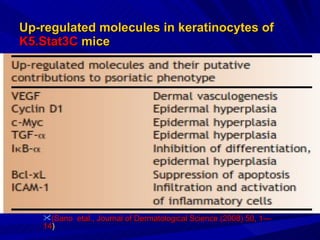 Up-regulated molecules in keratinocytes of  K5.Stat3C  mice (Sano   etal., Journal of Dermatological Science (2008) 50, 1—14 ) 