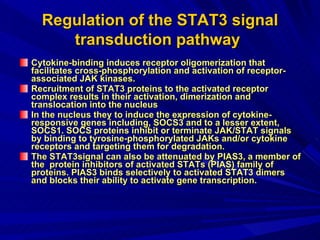 Regulation of the STAT3 signal transduction pathway   Cytokine-binding induces receptor oligomerization that facilitates cross-phosphorylation and activation of receptor-associated JAK kinases.  Recruitment of STAT3 proteins to the activated receptor complex results in their activation, dimerization and translocation into the nucleus In the nucleus they to induce the expression of cytokine-responsive genes including, SOCS3 and to a lesser extent, SOCS1. SOCS proteins inhibit or terminate JAK/STAT signals by binding to tyrosine-phosphorylated JAKs and/or cytokine receptors and targeting them for degradation.  The STAT3signal can also be attenuated by PIAS3, a member of the  protein inhibitors of activated STATs (PIAS) family of proteins. PIAS3 binds selectively to activated STAT3 dimers and blocks their ability to activate gene transcription. 