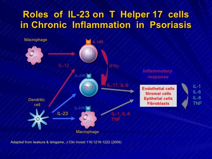 Stat3 Protein T Helper 17 Cell In Psoriasis By Yousry A Mawla