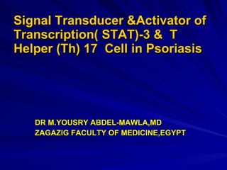 Signal Transducer &Activator of Transcription( STAT)-3 &  T  Helper (Th) 17  Cell in Psoriasis ,[object Object],[object Object]