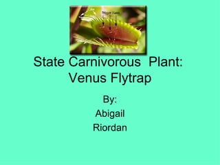 State Carnivorous  Plant:  Venus Flytrap By: Abigail Riordan 