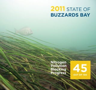 2011 STATE OF
BUZZARDS BAY
Nitrogen
Pollution
Blocking
Progress
45OUT OF 100
 
