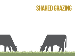 shared grazing 
 