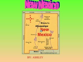 New Mexico BY: ASHLEY 