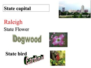 State capital State Flower Raleigh Dogwood State bird Cardinal