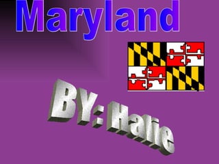 Maryland BY: Halie 
