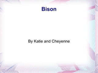 Bison By Katie and Cheyenne 
