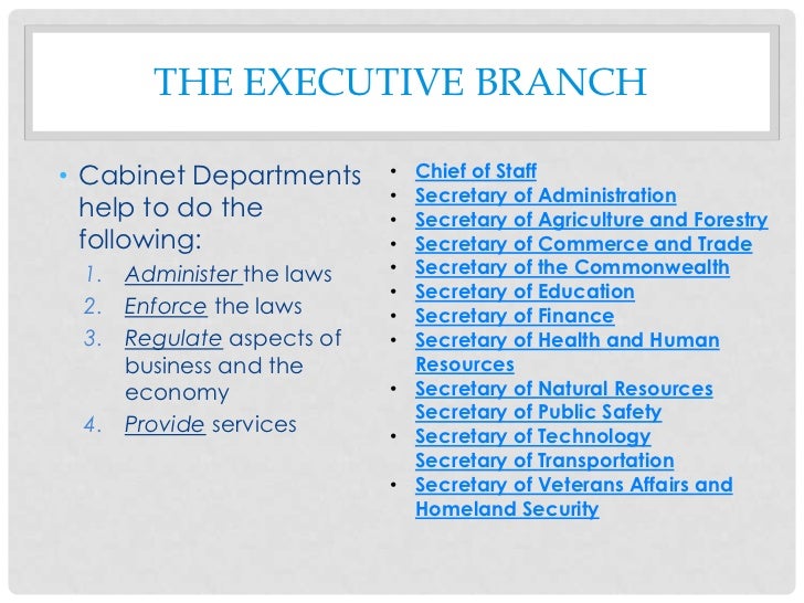 Executive branch essay