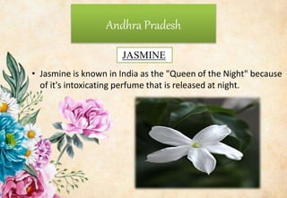 Andhra Pradesh
• Jasmine is known in India as the "Queen of the Night" because
of it's intoxicating perfume that is released at night.
JASMINE
 