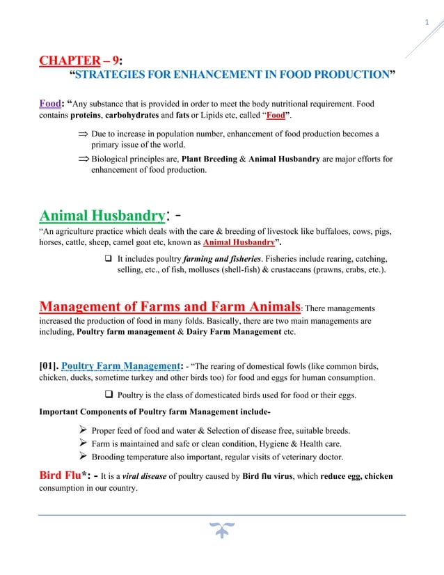 Stategies of Food Production .pdf
