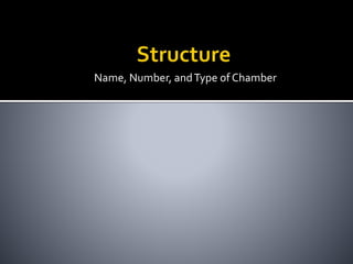 Name, Number, andType of Chamber
 